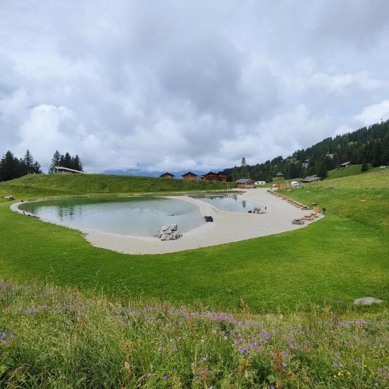Chalet for 6 people ideally located in Gryon - Chalet - 24