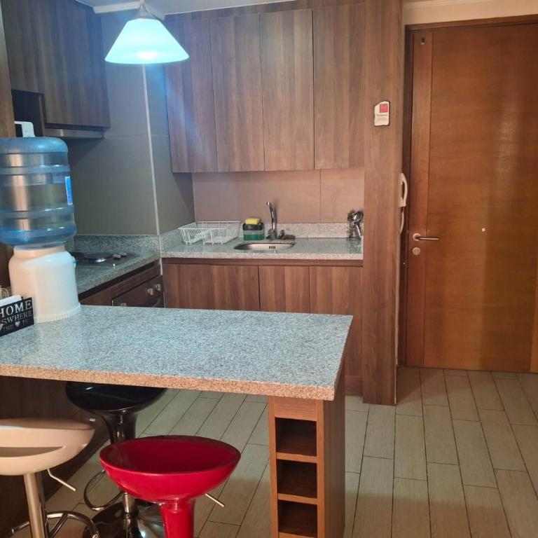 Condominio en el Centro de Calama - Apartment with Park View - 5