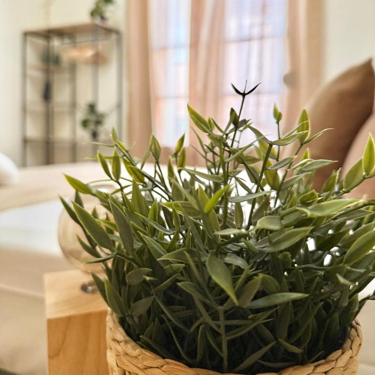 Piso Reformado con Historia en cada Rincon-Vive Zaragoza XIV - Two-Bedroom Apartment - 20