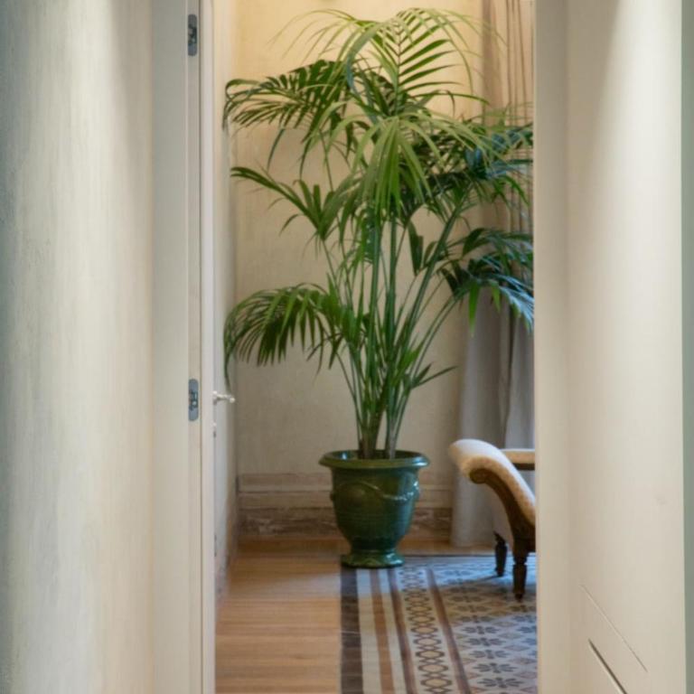 Gilded Age Luxury dream apartment historic center - Appartamento con 3 Camere da Letto e con Vista - 46
