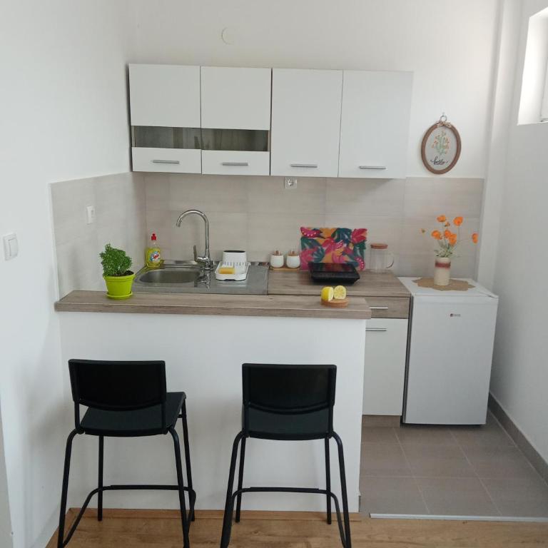 Apartmani Janićijević 2 - One-Bedroom Apartment with Balcony - 3