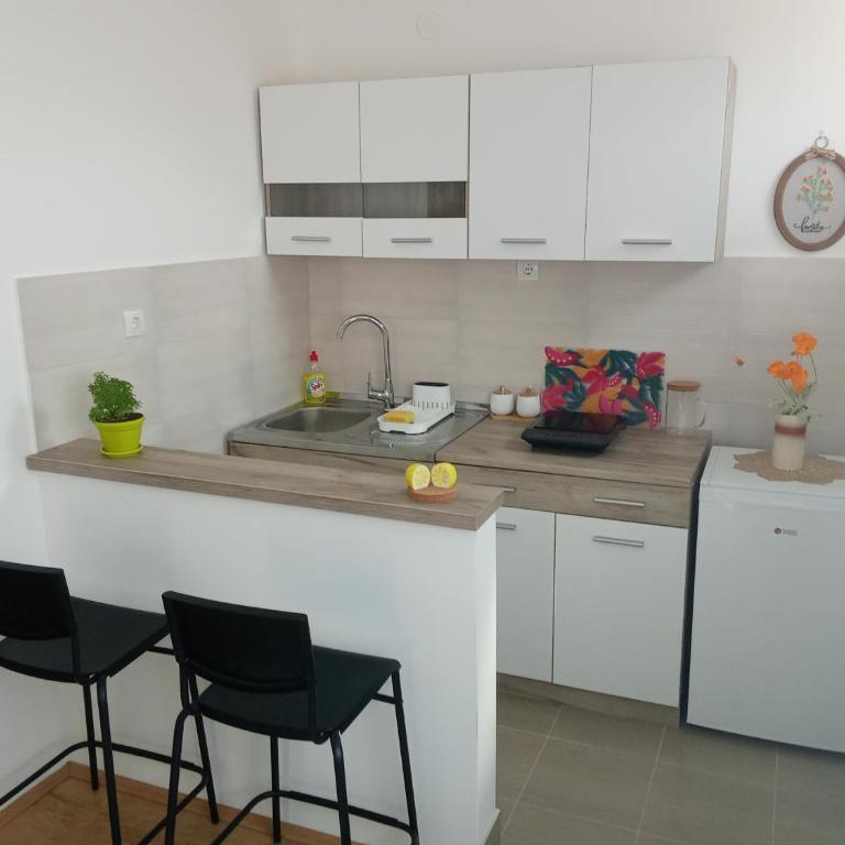 Apartmani Janićijević 2 - One-Bedroom Apartment with Balcony - 1