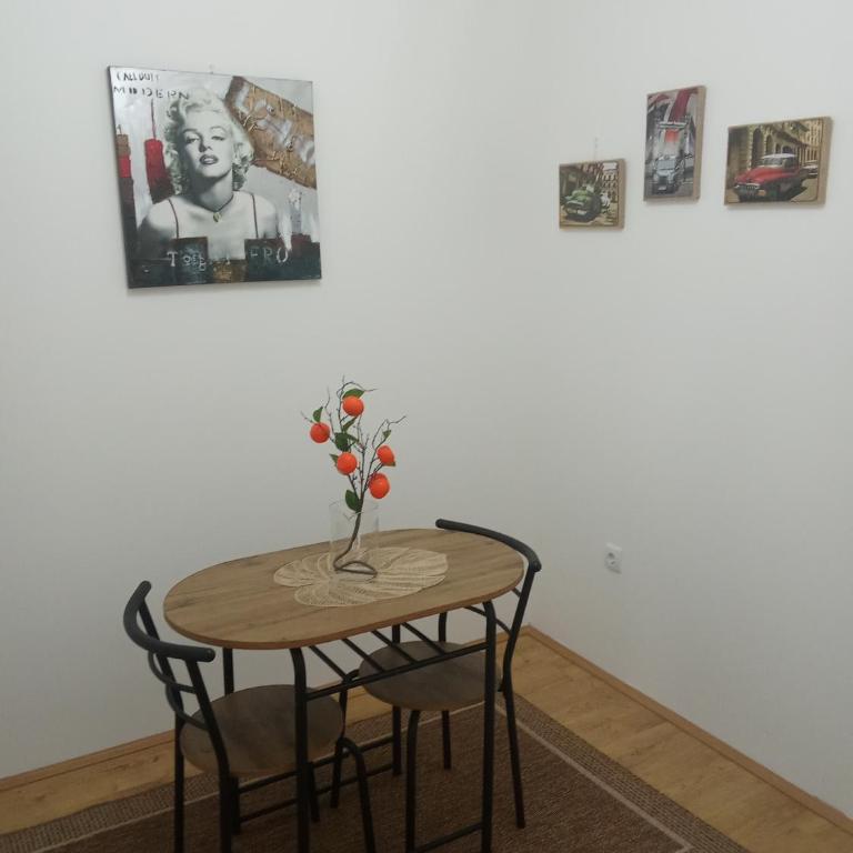Apartmani Janićijević 2 - One-Bedroom Apartment with Balcony - 7