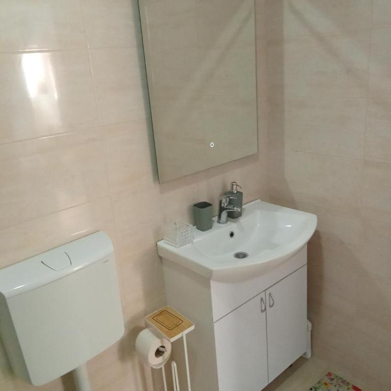 Apartmani Janićijević 2 - One-Bedroom Apartment with Balcony - 8