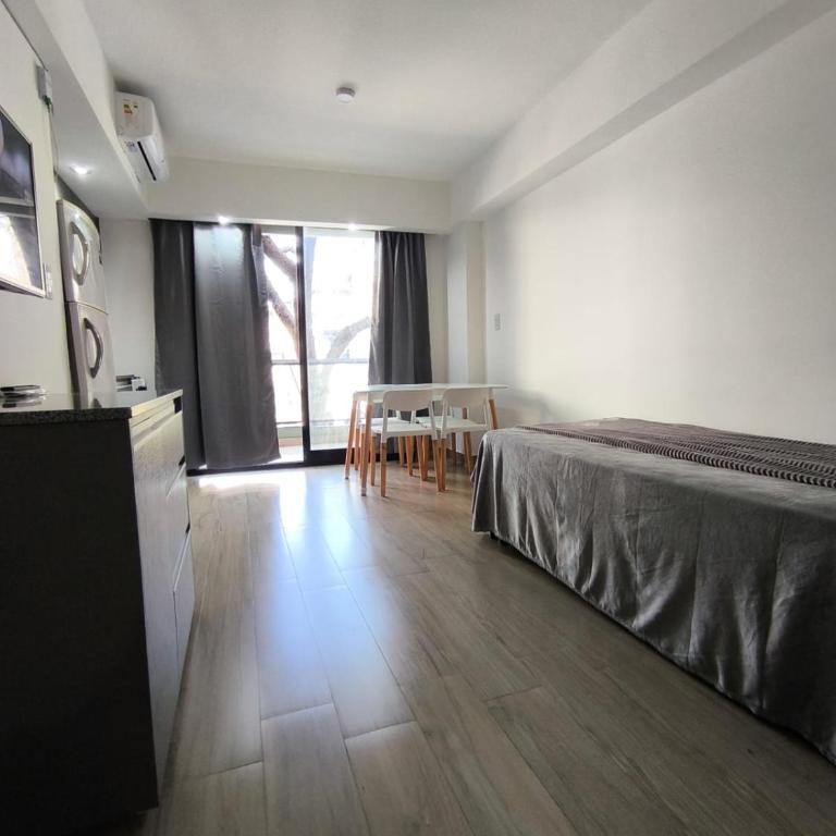 Luminoso y comodo departamento - One-Bedroom Apartment - 1