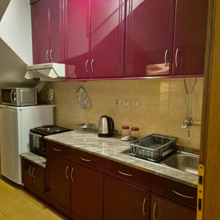 Toplica - Apartman sa 1 Spavaćom Sobom - 9