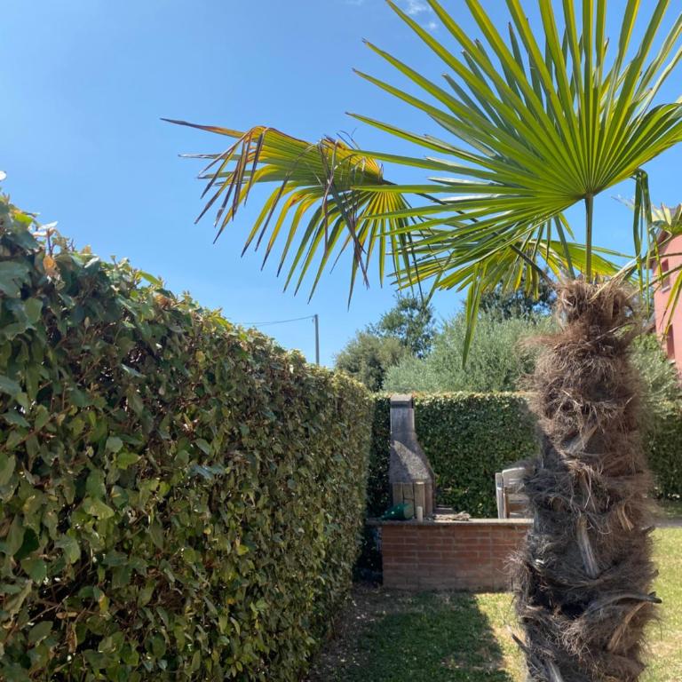 Le Vele Del Cigno - Casa Vacanze - 36