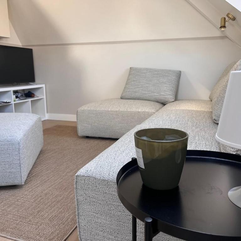 Confort et Charme au coeur du Touquet - Appartement 2 Chambres - 1