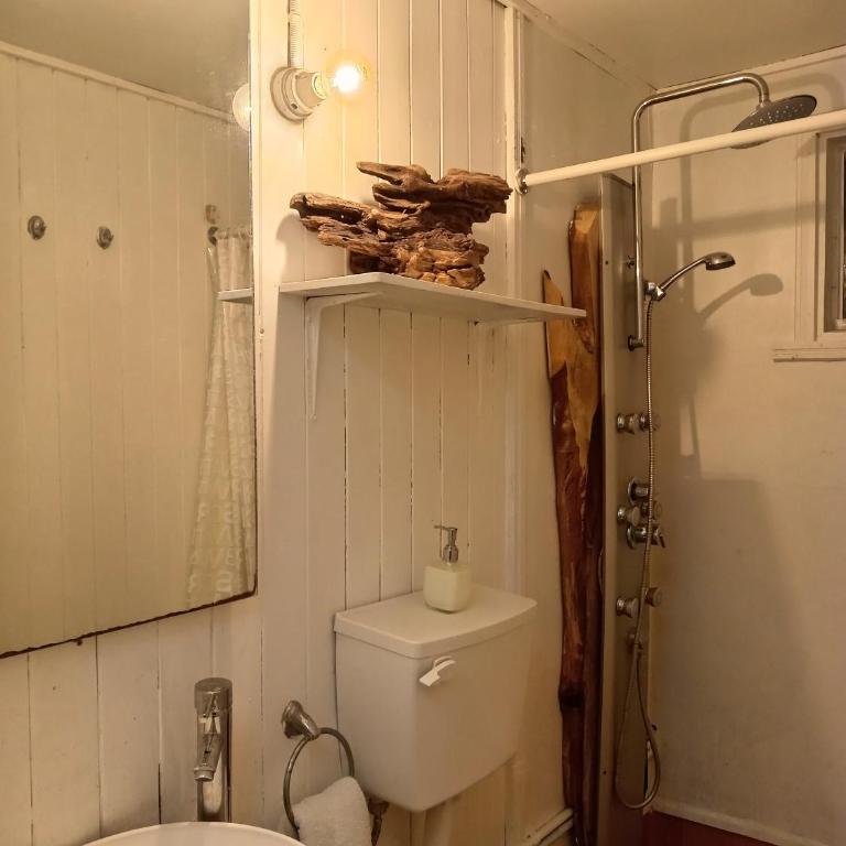 Huilo-Huilo Cabaña Huilin - Three-Bedroom House - 9