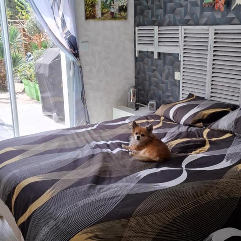 Maison a louer proche de la mer - Casa con 2 Camere da Letto - 4