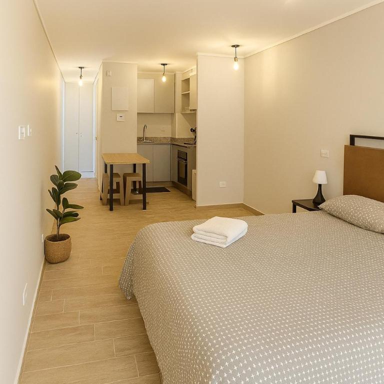 Moderno y Cómodo Departamento en Pleno Centro - Apartamento de 1 dormitorio - 3