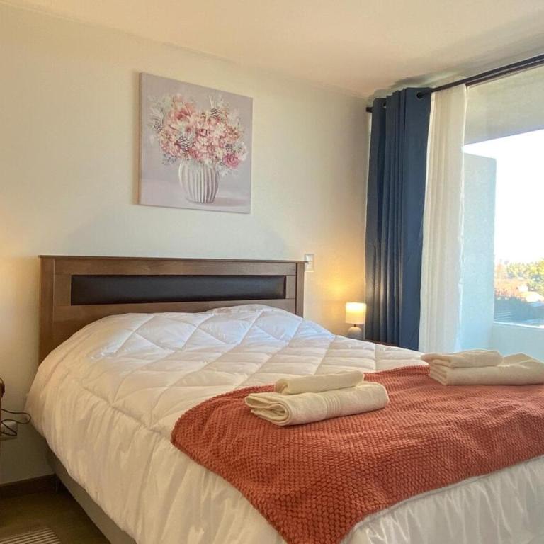 Apart Total Centro Belmonte - One-Bedroom Apartment - 9