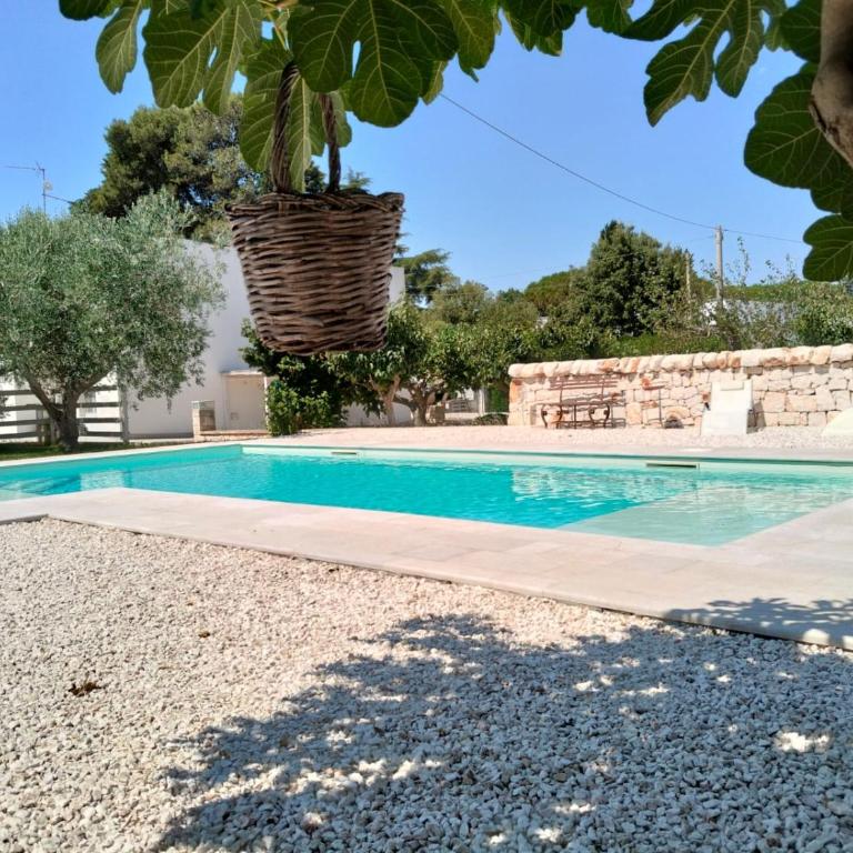 Casa Vacanze Villa Greca - Appartamento Standard - 65