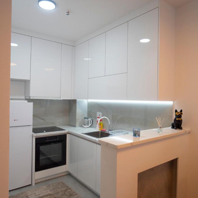 Apartman Petra Trebinje - Apartman sa 1 Spavaćom Sobom - 12