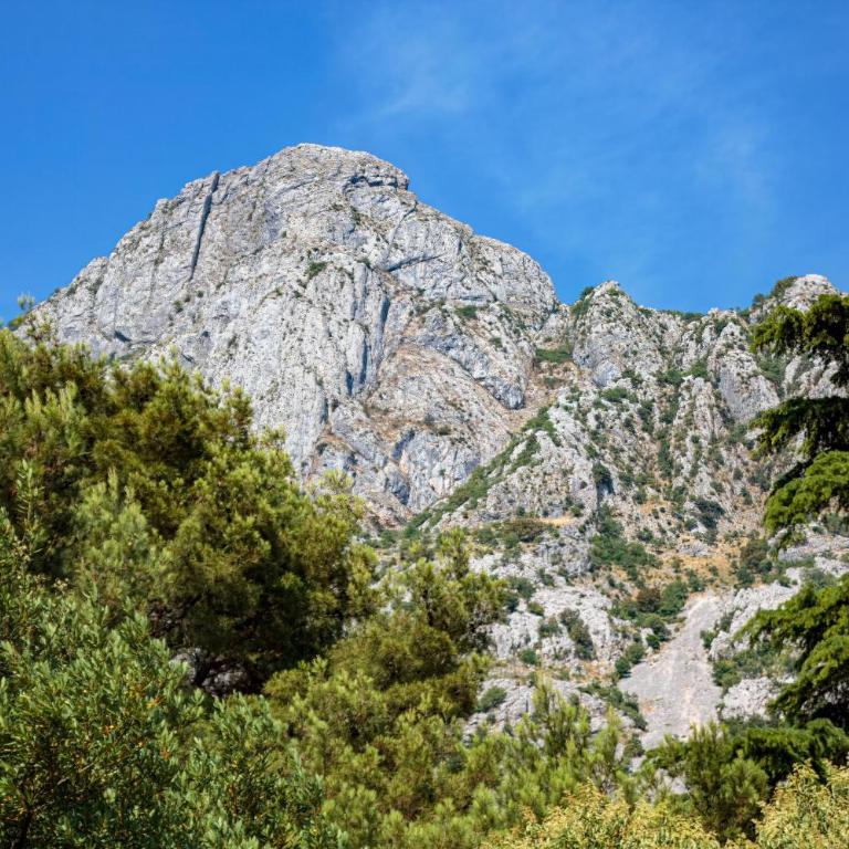Barona Seaview Penthouse Kotor Bay - Three-Bedroom Apartment - 27