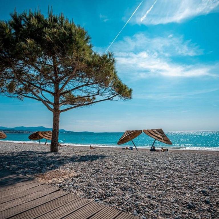 T2 Climatisé Vue Mer Exceptionnelle Accès Plage - Appartement 1 Chambre - 17