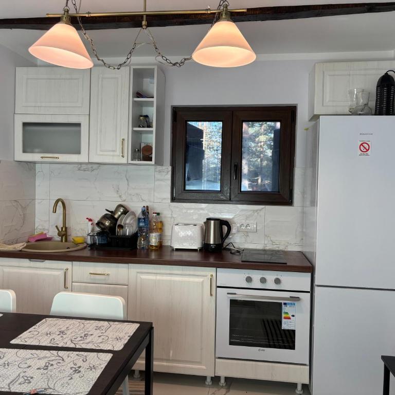 Vila Limun - Apartman s 1 Spavaćom Sobom i Terasom - 20