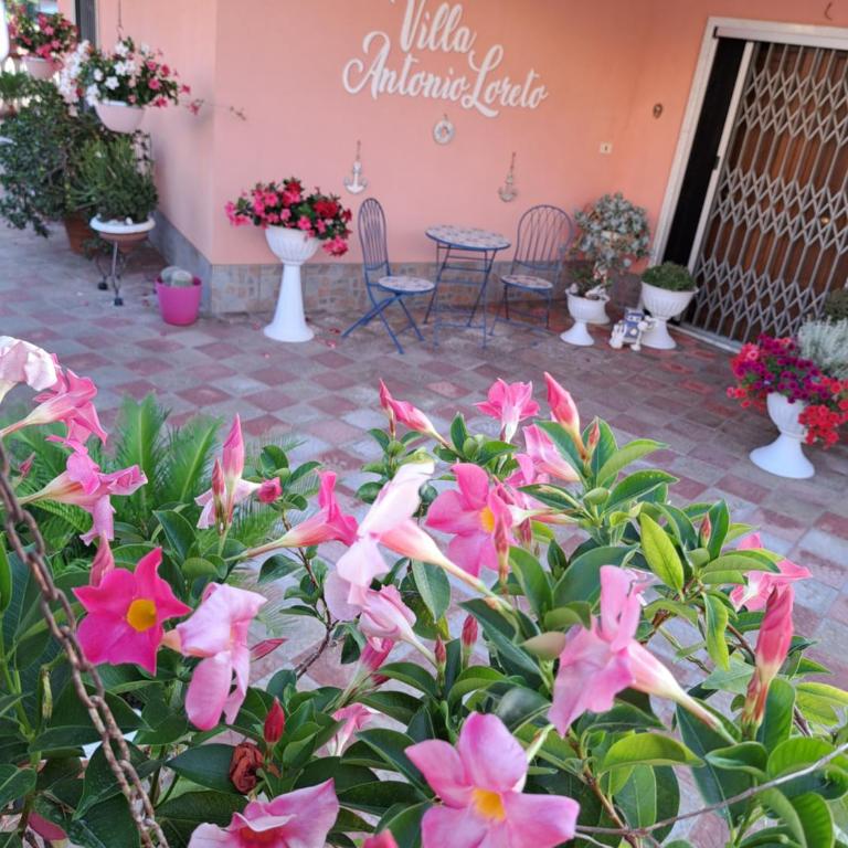 B&B Villa ANTONIO LORETO - Camera Matrimoniale Standard - 24
