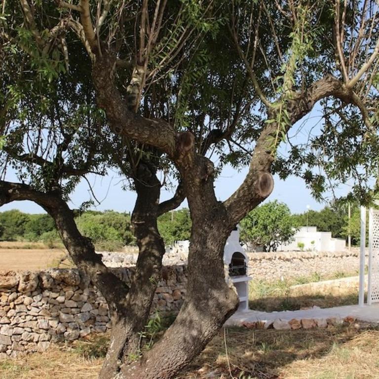 Trullo & country house with pool - Casa con 5 Camere da Letto - 52