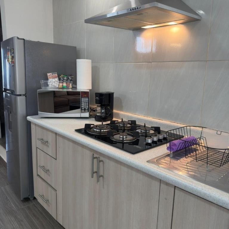 Bellísimo departamento, lo vas a disfrutar! - One-Bedroom Apartment - 2