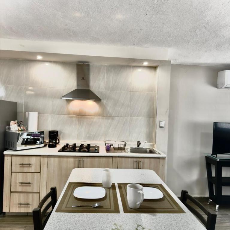 Bellísimo departamento, lo vas a disfrutar! - One-Bedroom Apartment - 32