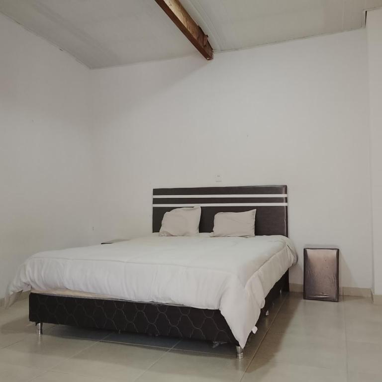 Tranquilandia - Apartamento de 1 dormitorio - 4