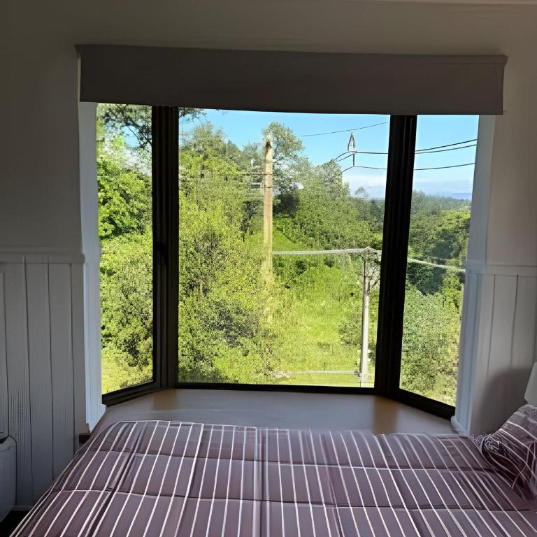 Lindo y comodo departamento en Pucon. - Apartment - 3