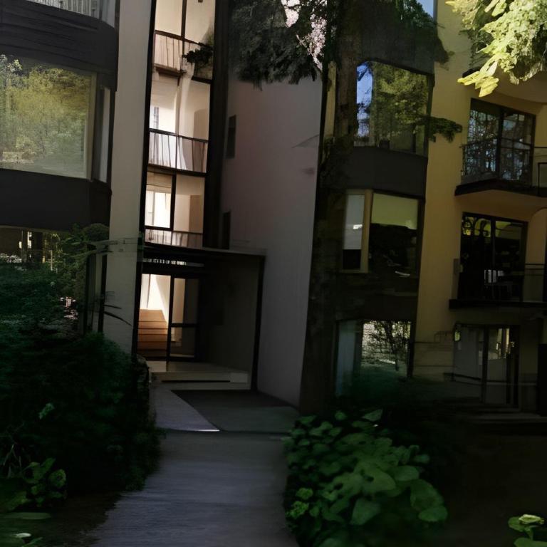 Lindo y comodo departamento en Pucon. - Apartment - 10