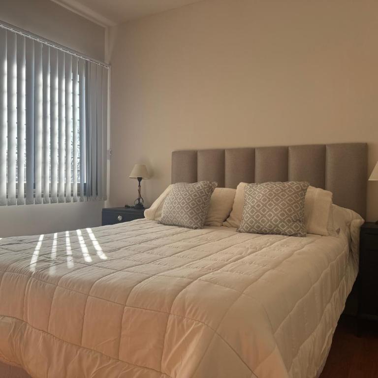 Duplex premium - Apartamento de 2 dormitorios - 2