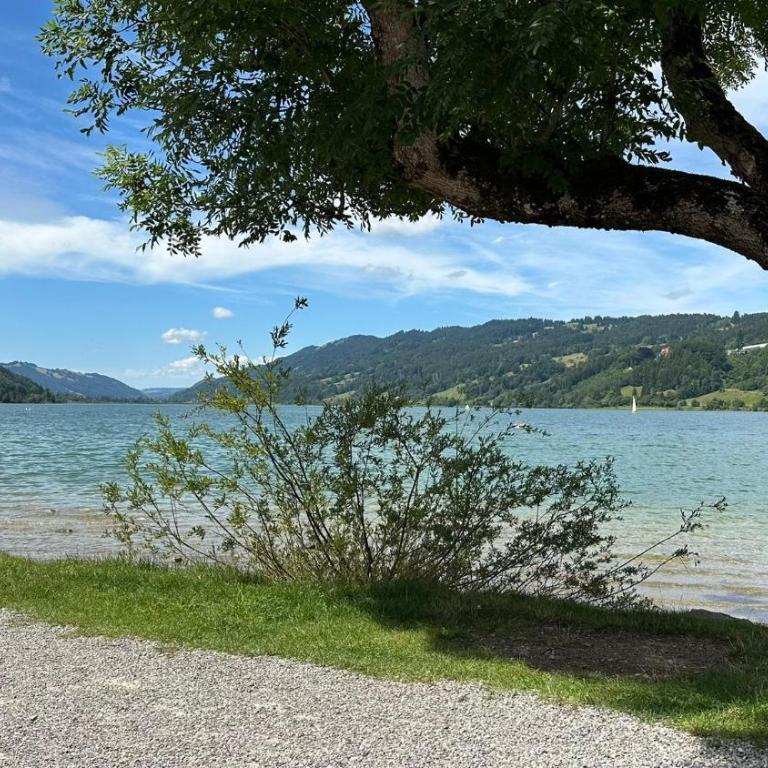 FeWo Alpenfreude mit Hallenbad - Apartment with Balcony - 39