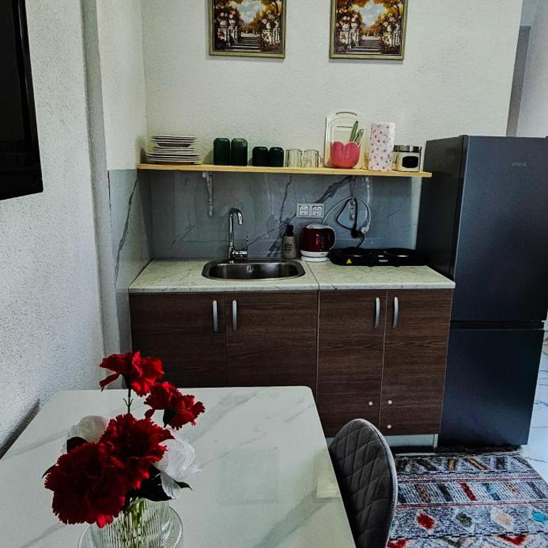 Apartment Bijela ladja - Studio - 16