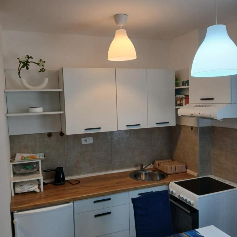 Natura Lux & Parking Free - Green Hill, blizu Akva parka - Apartman sa 1 Spavaćom Sobom - 14