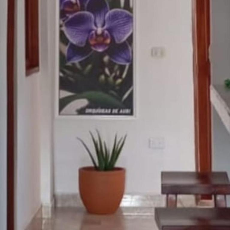 hostal orquideas de auri - Habitación Doble con baño privado - 6