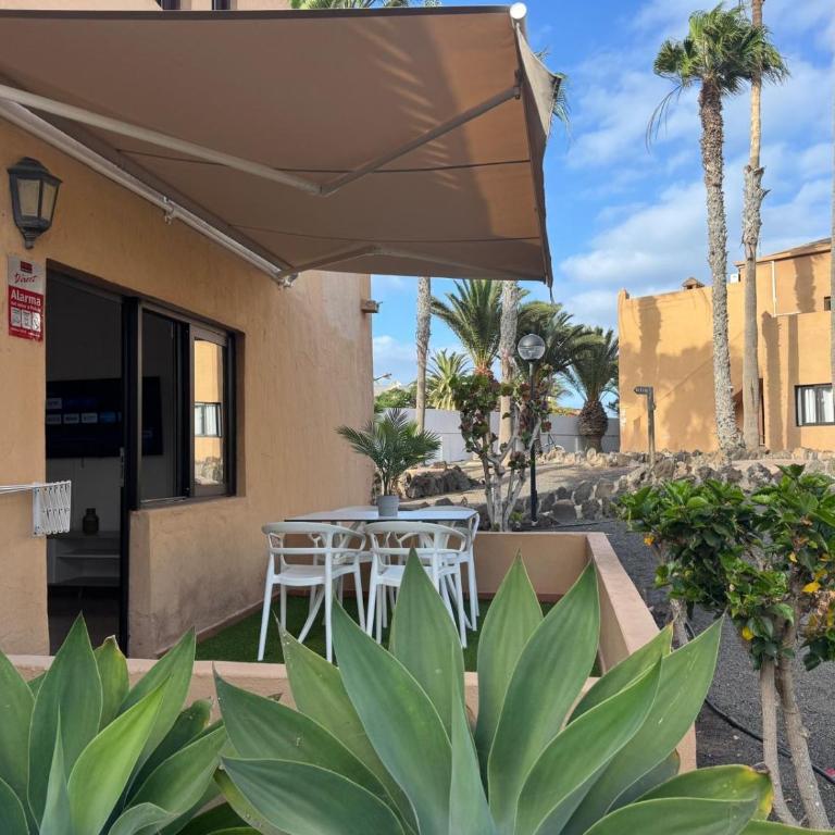 Casa Olivia Oasis Duna - Apartamento de 2 dormitorios - 17