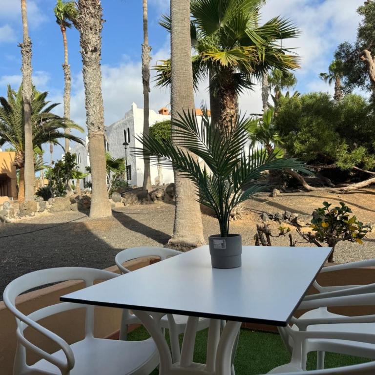 Casa Olivia Oasis Duna - Apartamento de 2 dormitorios - 19