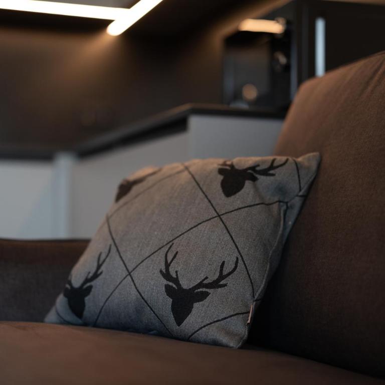 Stabingerhof Chalets & Apartment-Farm stay - Apartamento de 1 dormitorio - 9