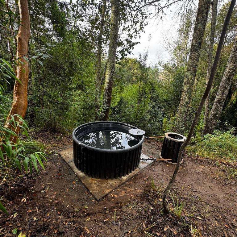 Pichihuape Lodge - Casa con 1 dormitorio - 13