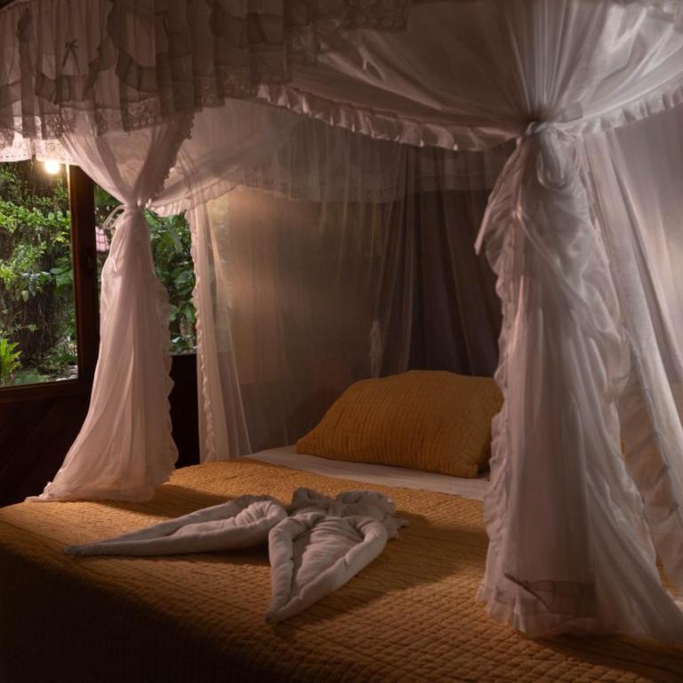 Shandia Lodge - Single Room - 4