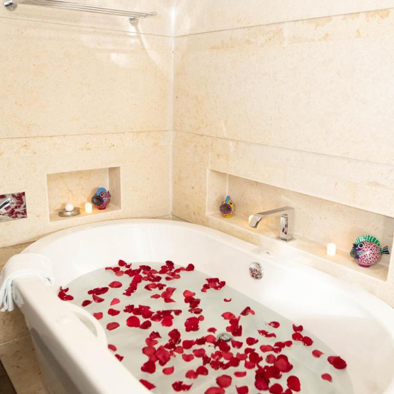 Hotel Plaza San Cristóbal - Suite with Hot Tub - 10