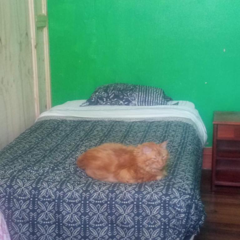 Hostal del Gato valparaiso - Small Double Room - 2