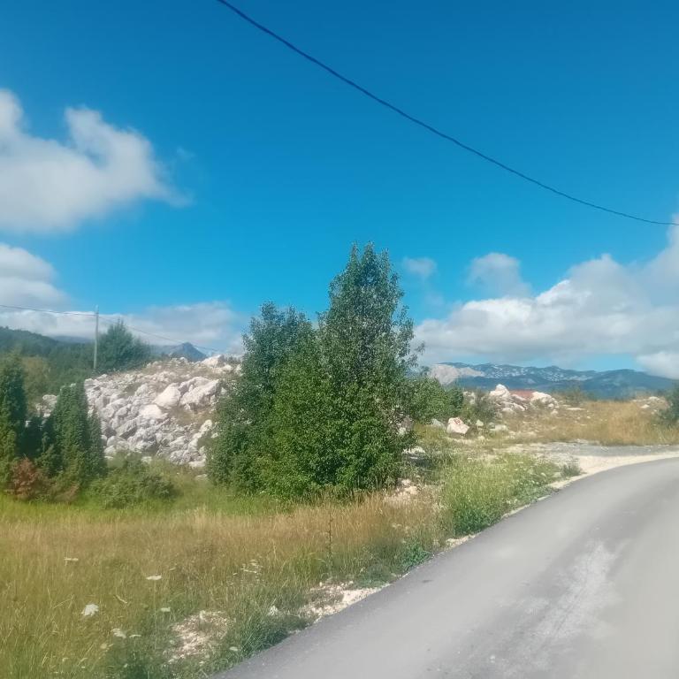 Vila Đurović - Three-Bedroom House - 28