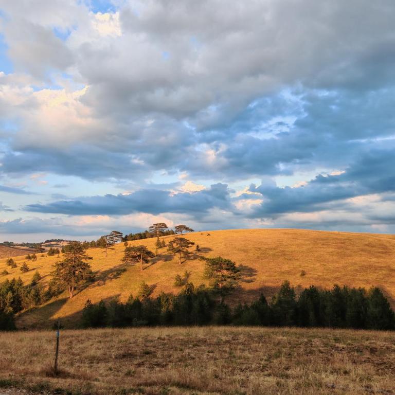 Zlatibor Brvnara Mir - Brvnara sa 1 Spavaćom Sobom - 7