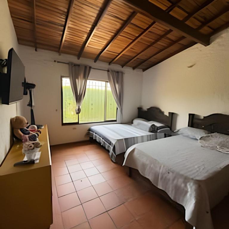 Exclusiva cabaña el lago- Naturaleza - Bungalow Deluxe con vistas al jardín - 11