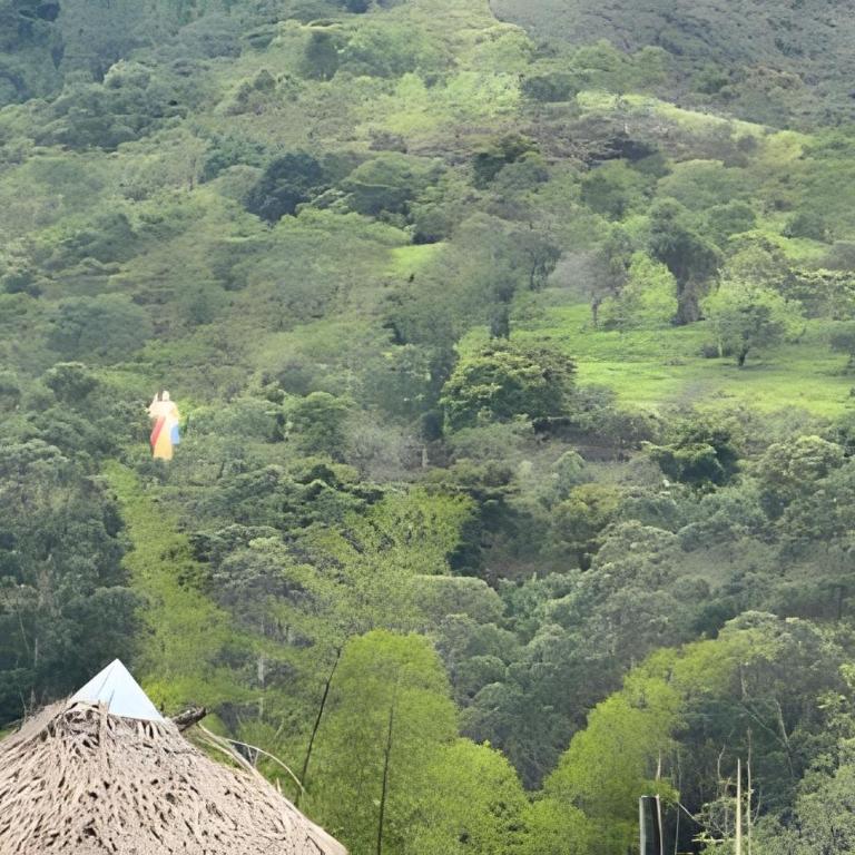 Exclusiva cabaña el lago- Naturaleza - Bungalow Deluxe con vistas al jardín - 34