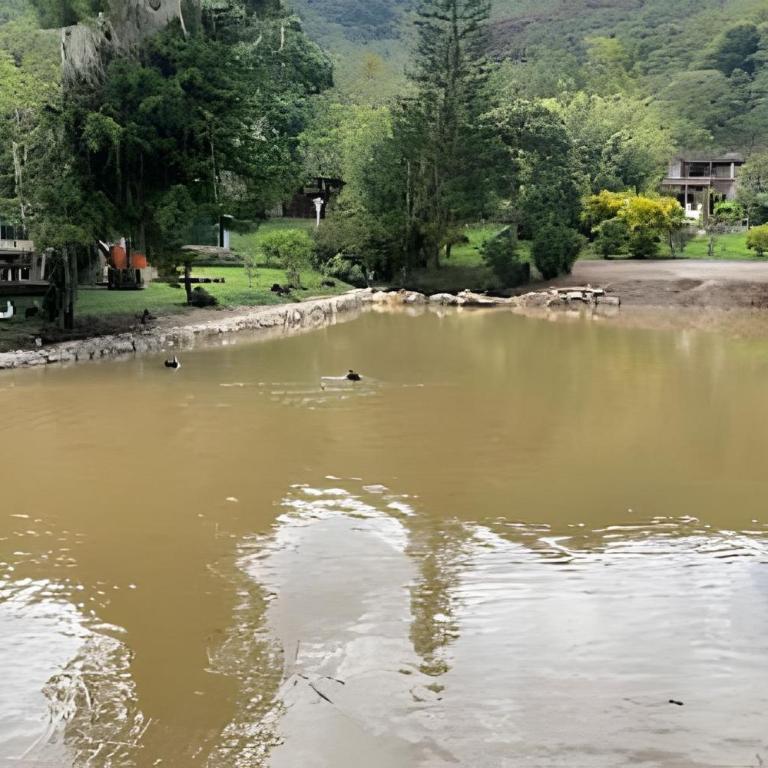 Exclusiva cabaña el lago- Naturaleza - Bungalow Deluxe con vistas al jardín - 57