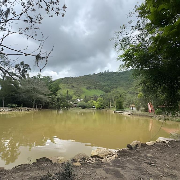 Exclusiva cabaña el lago- Naturaleza - Bungalow Deluxe con vistas al jardín - 59