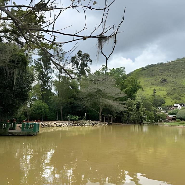 Exclusiva cabaña el lago- Naturaleza - Bungalow Deluxe con vistas al jardín - 61