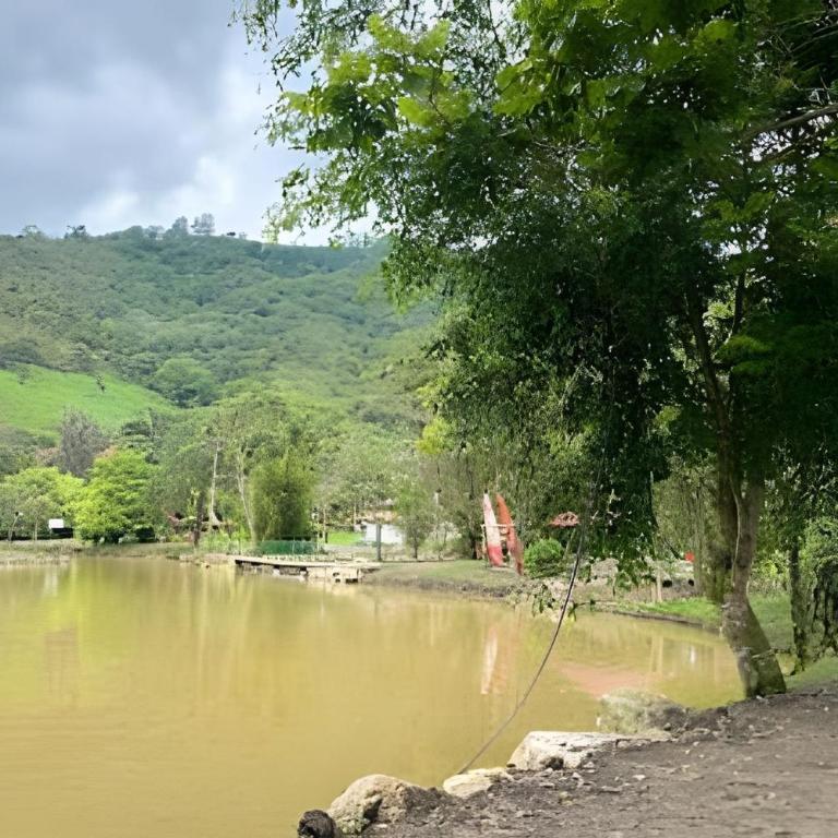 Exclusiva cabaña el lago- Naturaleza - Bungalow Deluxe con vistas al jardín - 62