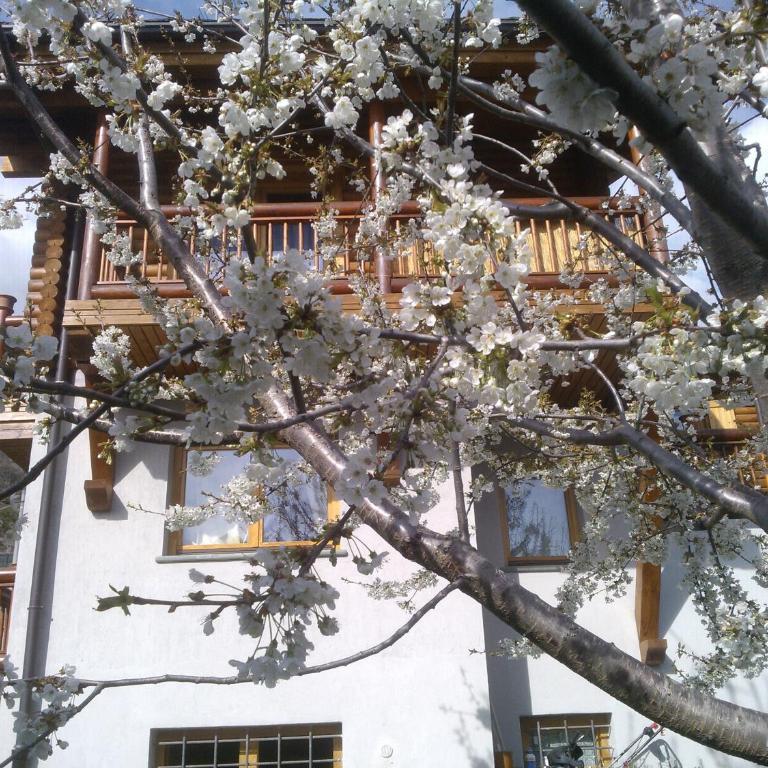 Casa Adriana - Appartement avec Balcon - 7