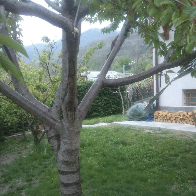 Casa Adriana - Appartement - Vue sur Jardin - 6